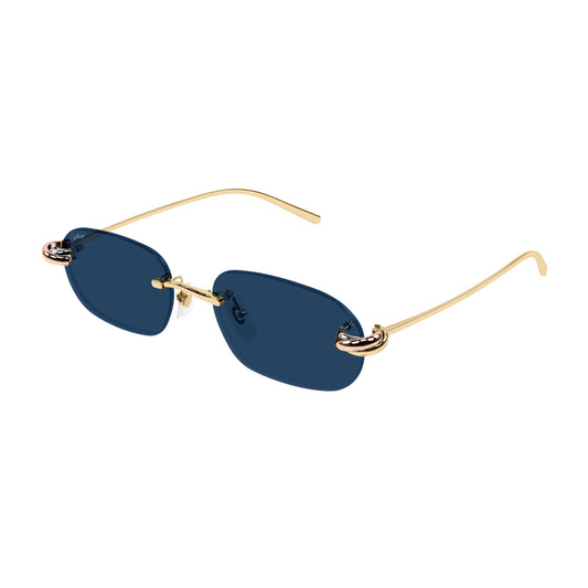 Cartier CT0686S Exception