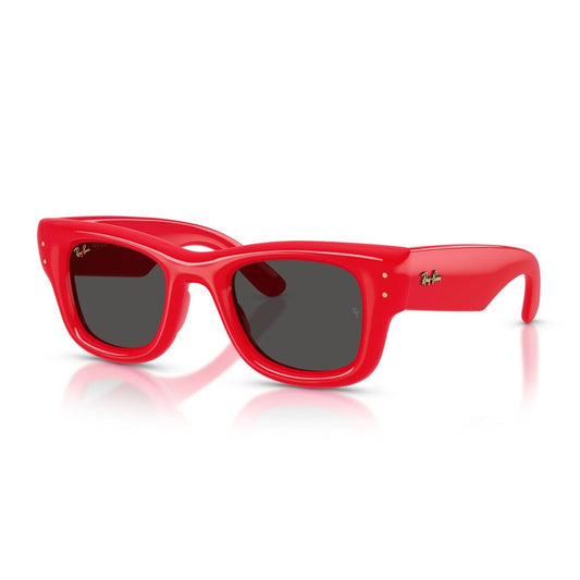 Ray-Ban RB4940 Wayfarer Puffer by Asap Rocky
