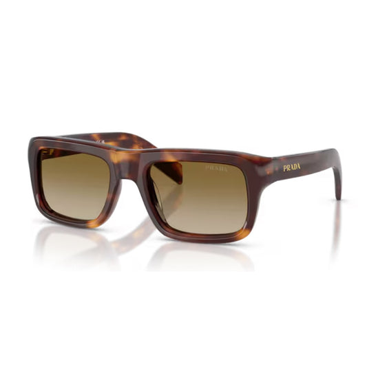 Prada PR D11S