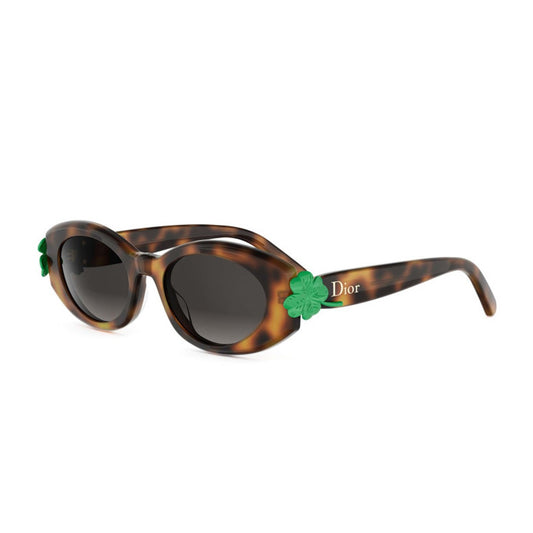 DiorClover B1I