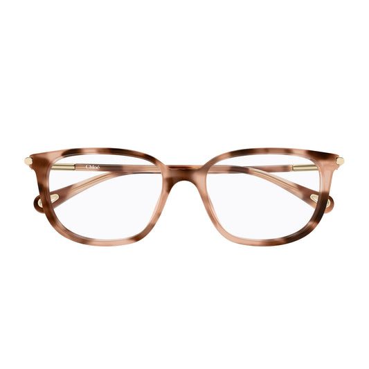CHLOE CH0400O 003 havana havana transparent 53