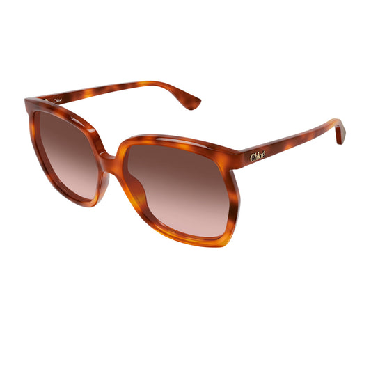 Chloé CH0389S