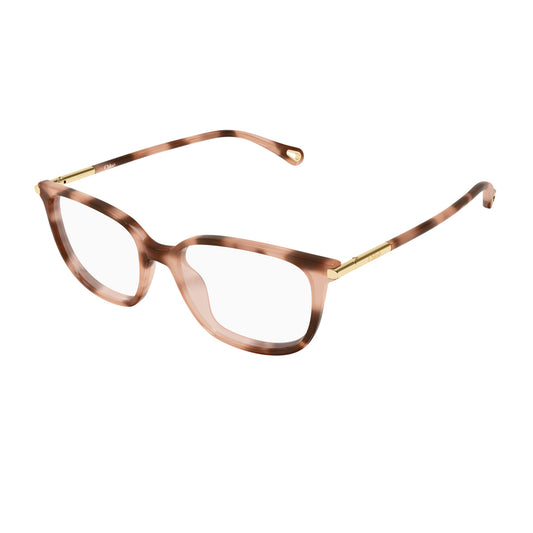 CHLOE CH0400O 003 havana havana transparent 53