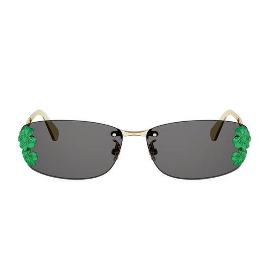 DiorClover S1I